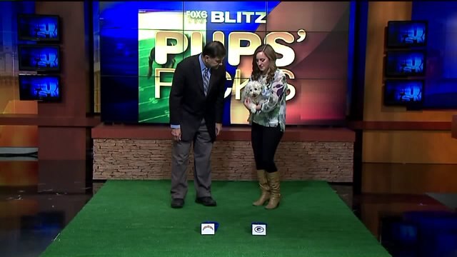 Pup`s Picks Week 6: Green Bay Packers vs. San Diego Chargers who will `Bailey` choose?