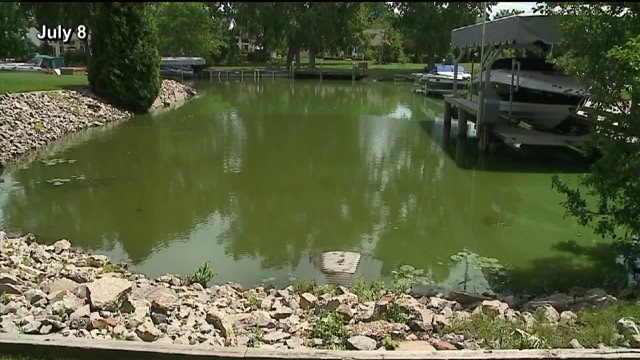 Blue-green algae has folks in Ohio, Michigan drinking bottled water; Could it happen here?