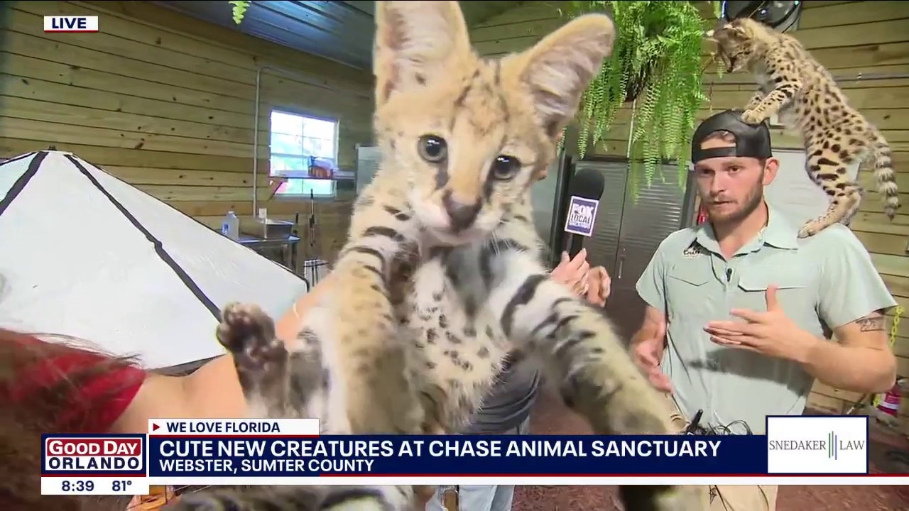 New animals arrive at Chase Sanctuary