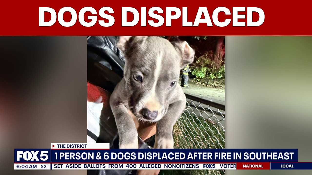DC house fire displaces resident, 6 dogs