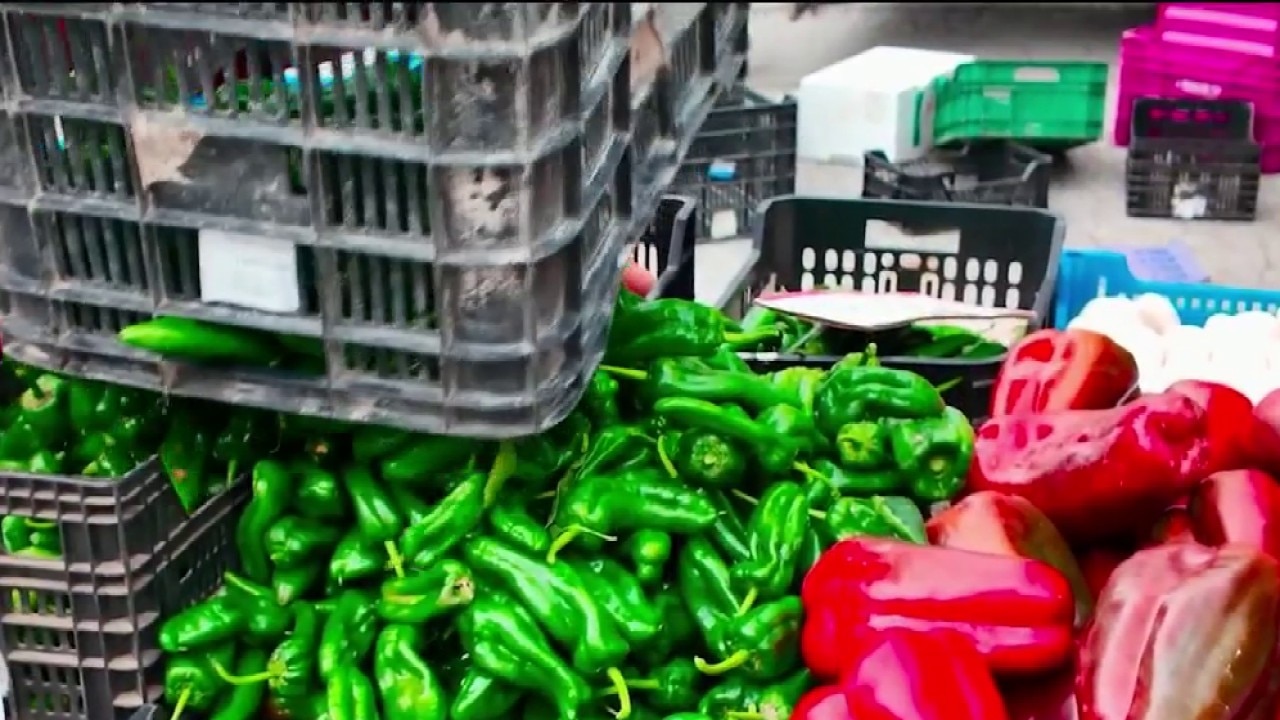 Salmonella outbreak: Should Georgians be worried?