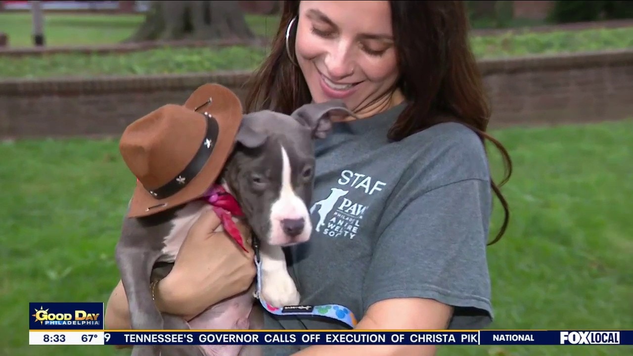 PAWS 20TH ANNUAL MUTT STRUT