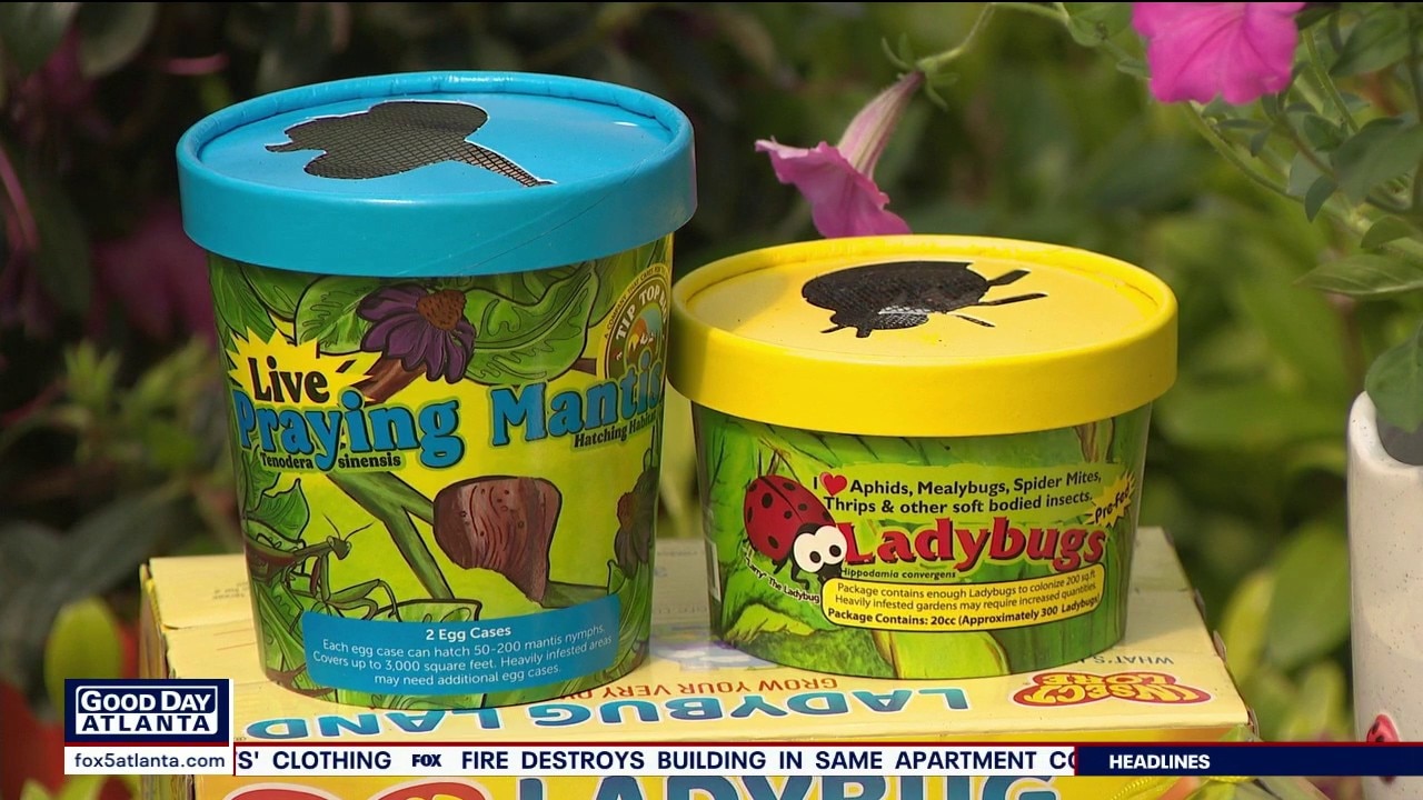 Pike Nurseries tells viewers on beneficial bugs 