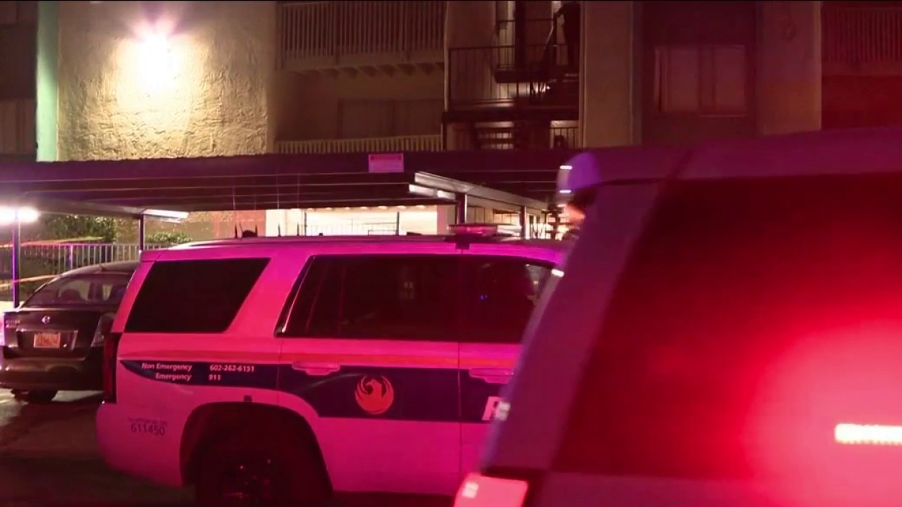Woman shot in arm during Phoenix domestic dispute, man in custody