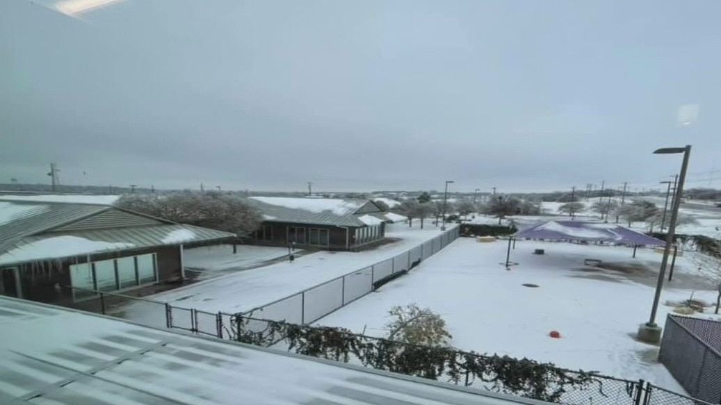 Pet of the Weekend: How to help Williamson County Regional Animal Shelter after winter storm