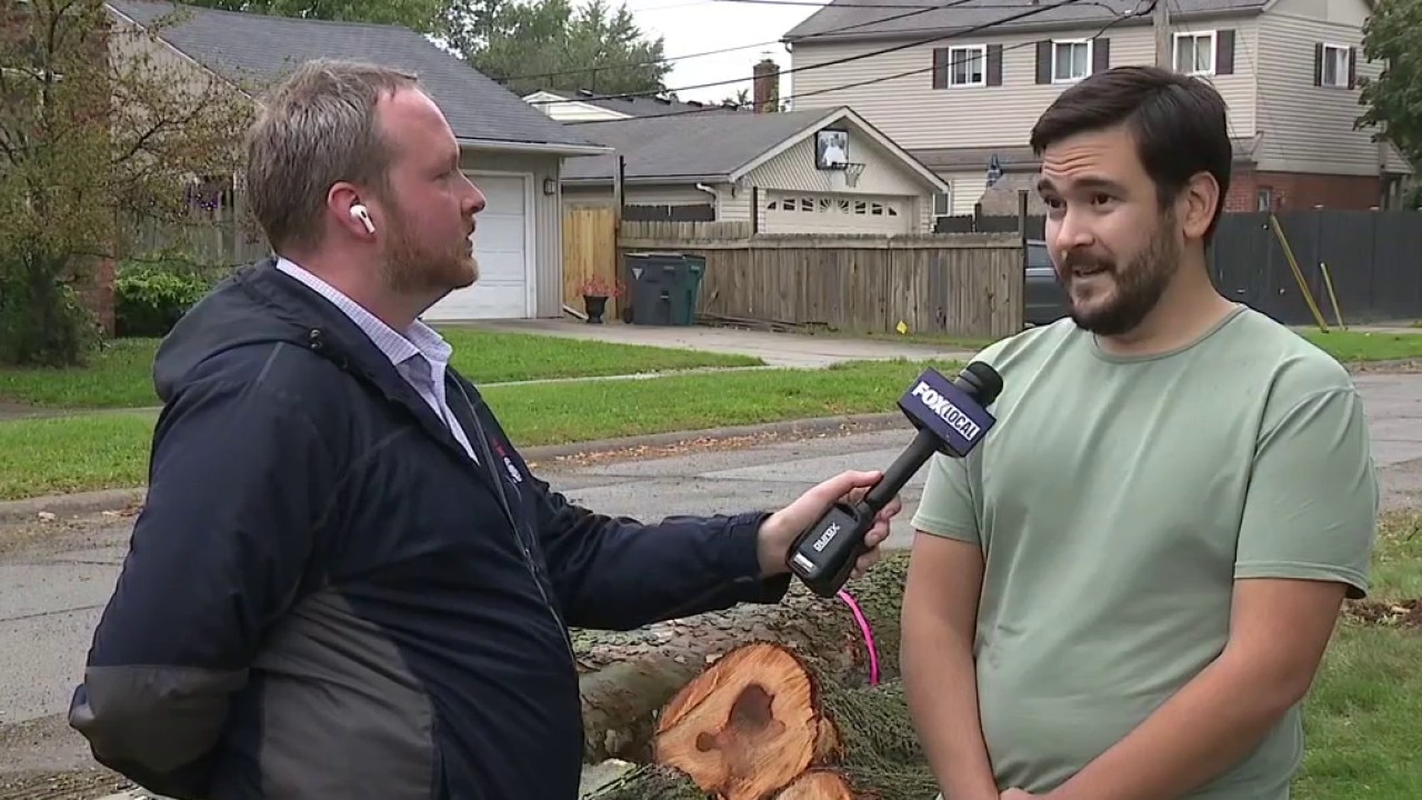 Clawson residents upset over removal of 70+ trees