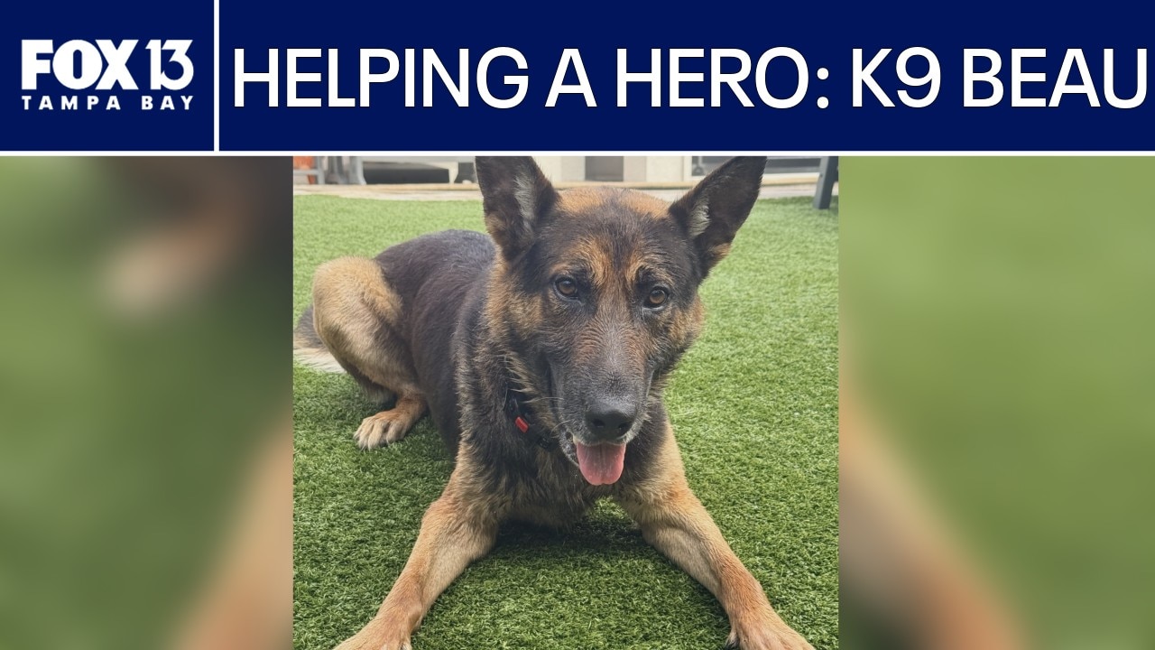 Retired Pinellas Co. Sheriff's K9 needs community support for medical care