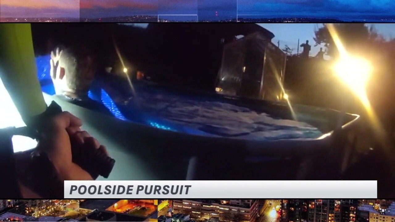 The Spotlight: Poolside pursuit