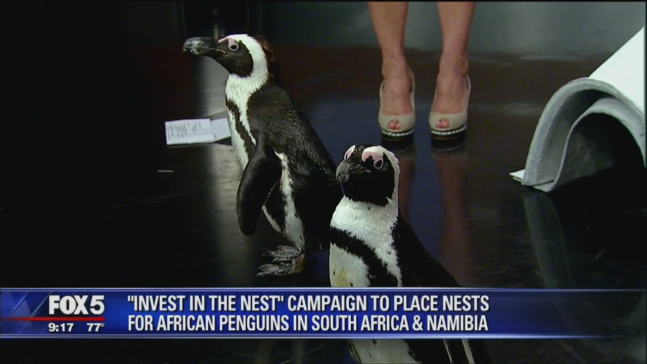 Endangered Species Day