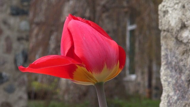 Spring is in the air at the Boerner Botanical Gardens