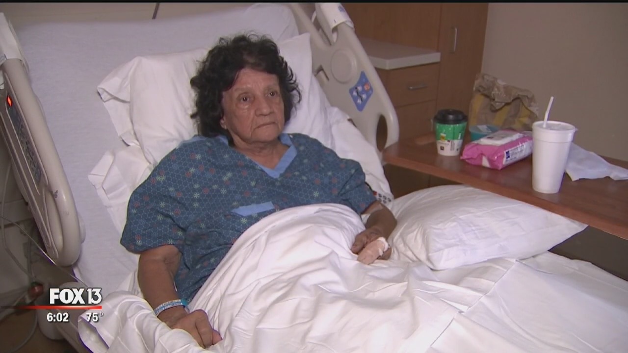 Presumed coyote attack in Seffner