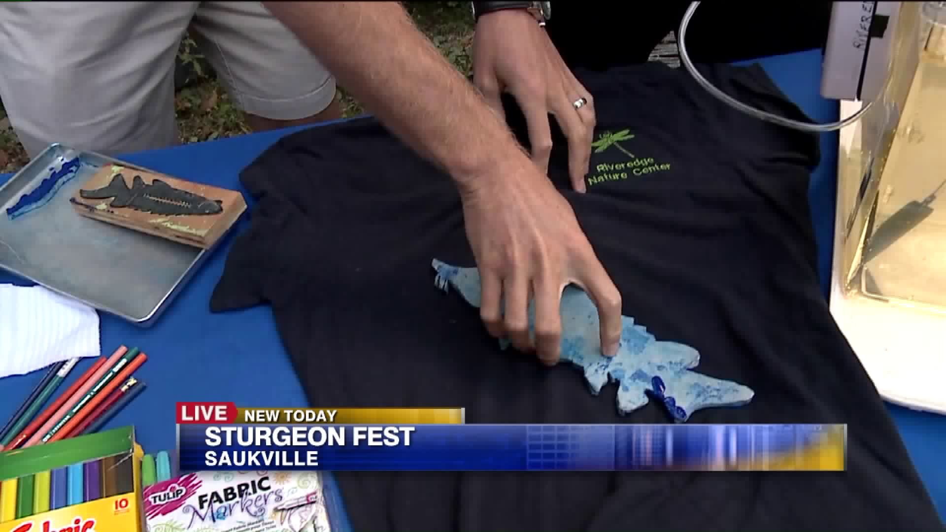 Family-friendly activities at the fest