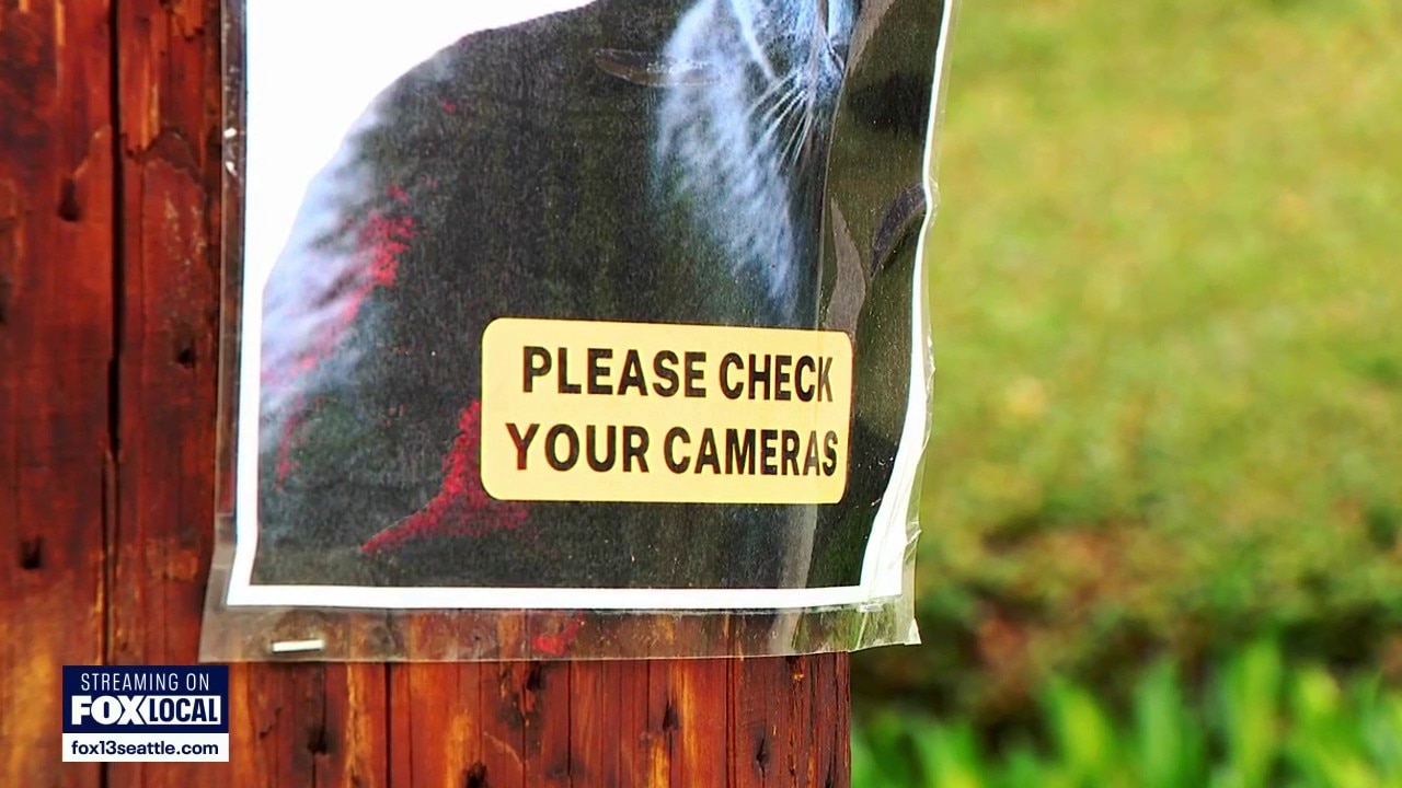 New lost pet scam targeting King County residents