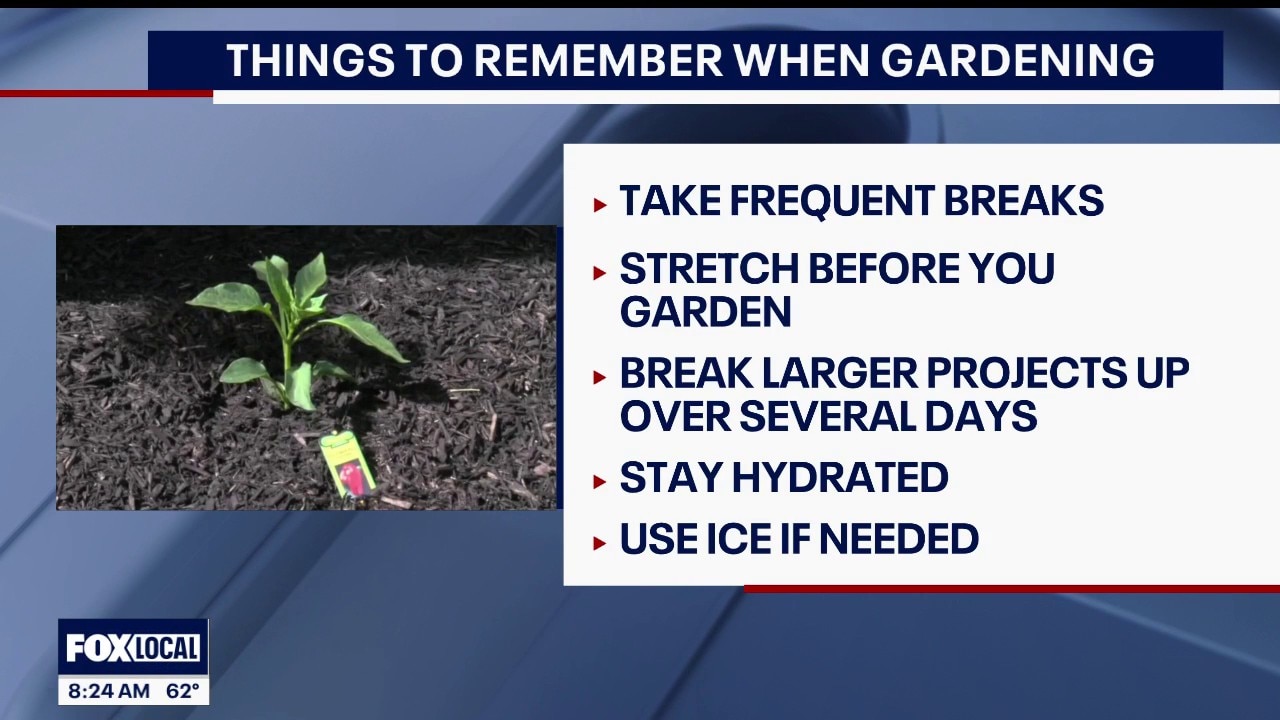 THE DR. IS IN: PROTECTING YOUR BACK WHILE GARDENING