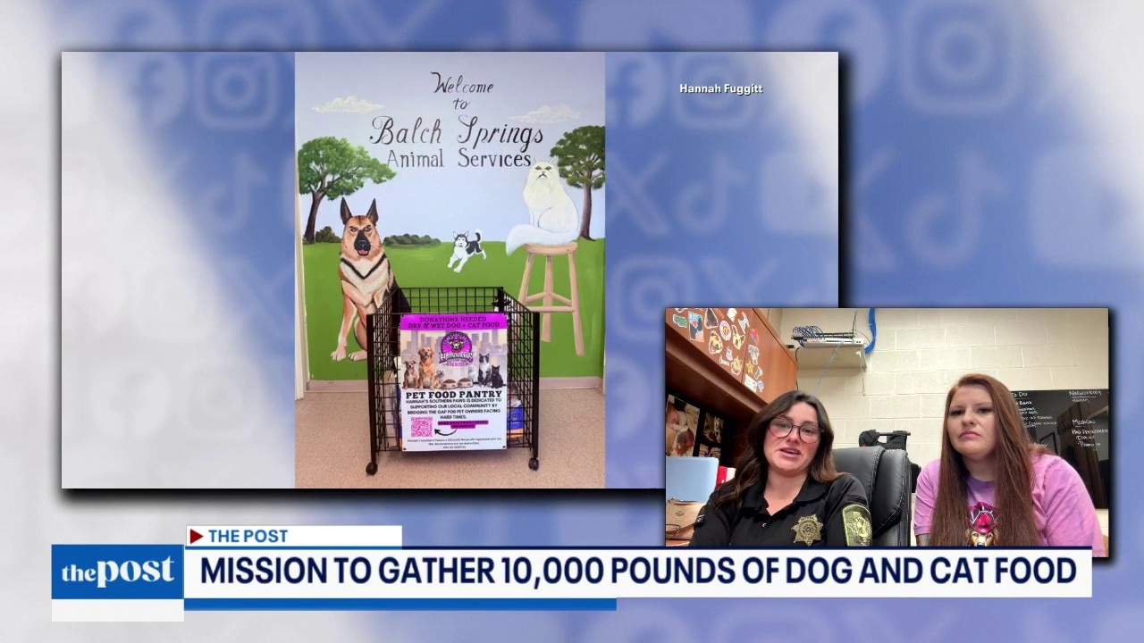 Huge Pet Food Drive in Balch Springs | The Post