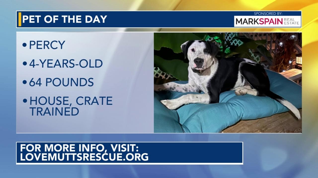 Pet of the Day for April 25