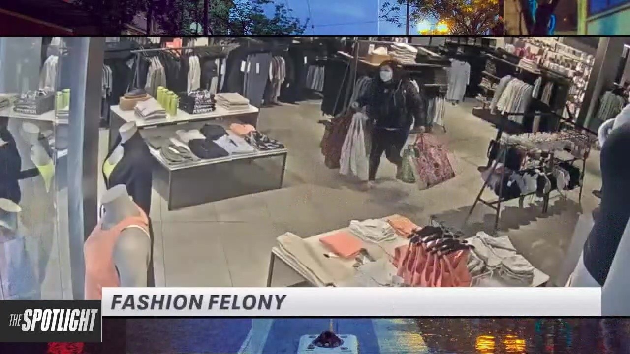The Spotlight: Fashion Felony