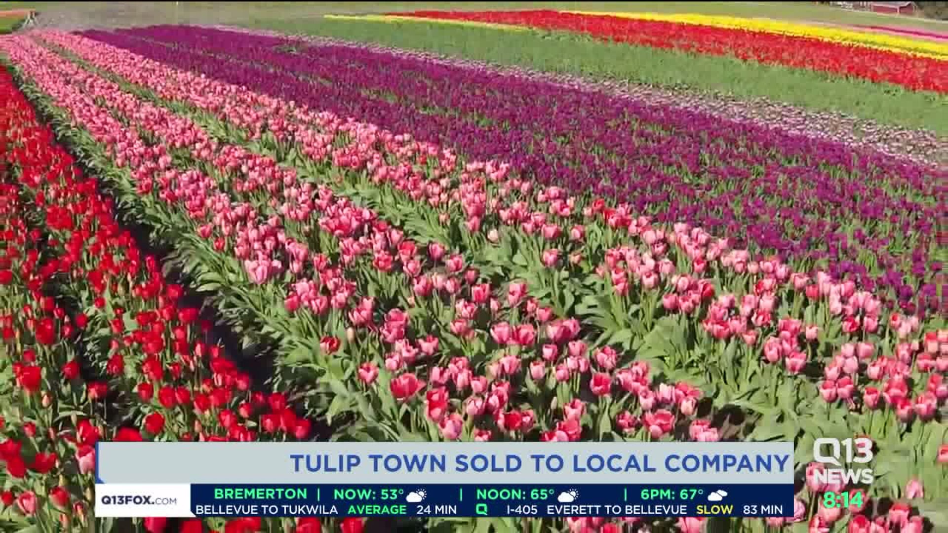 Tulip Town sold to local group