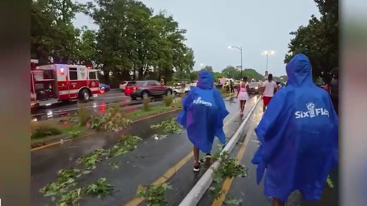 Four hospitalized after tree falls at Six Flags Over Georgia