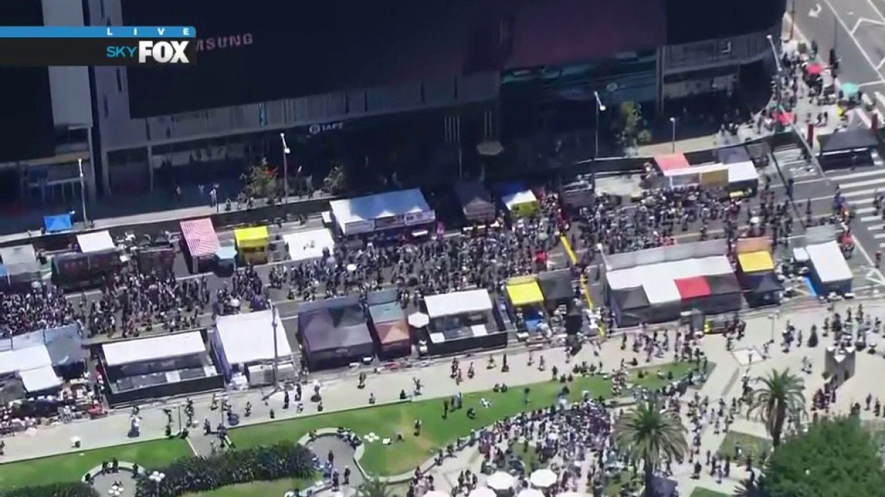 Anime Expo in downtown LA draws massive crowds