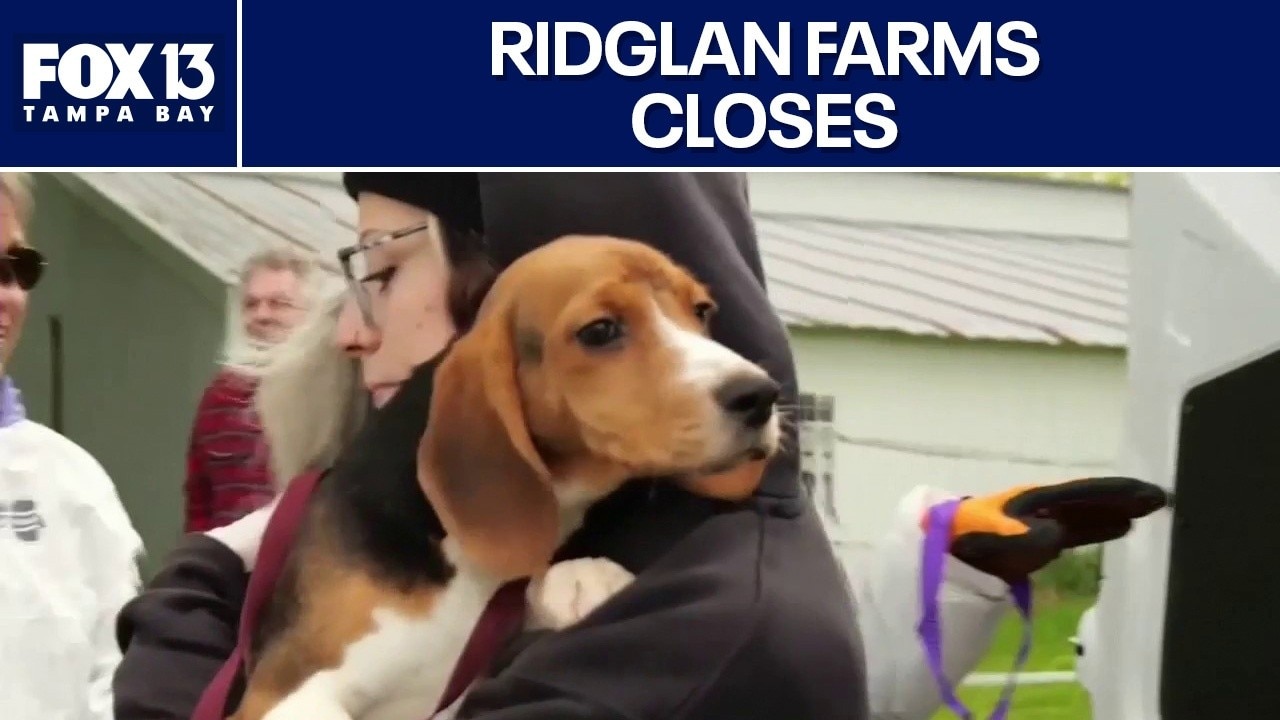 Ridglan Farms officially closes after Beagle rescue