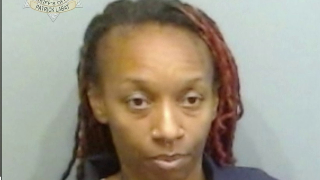 Mugshot released of babysitter accused of kidnapping sisters