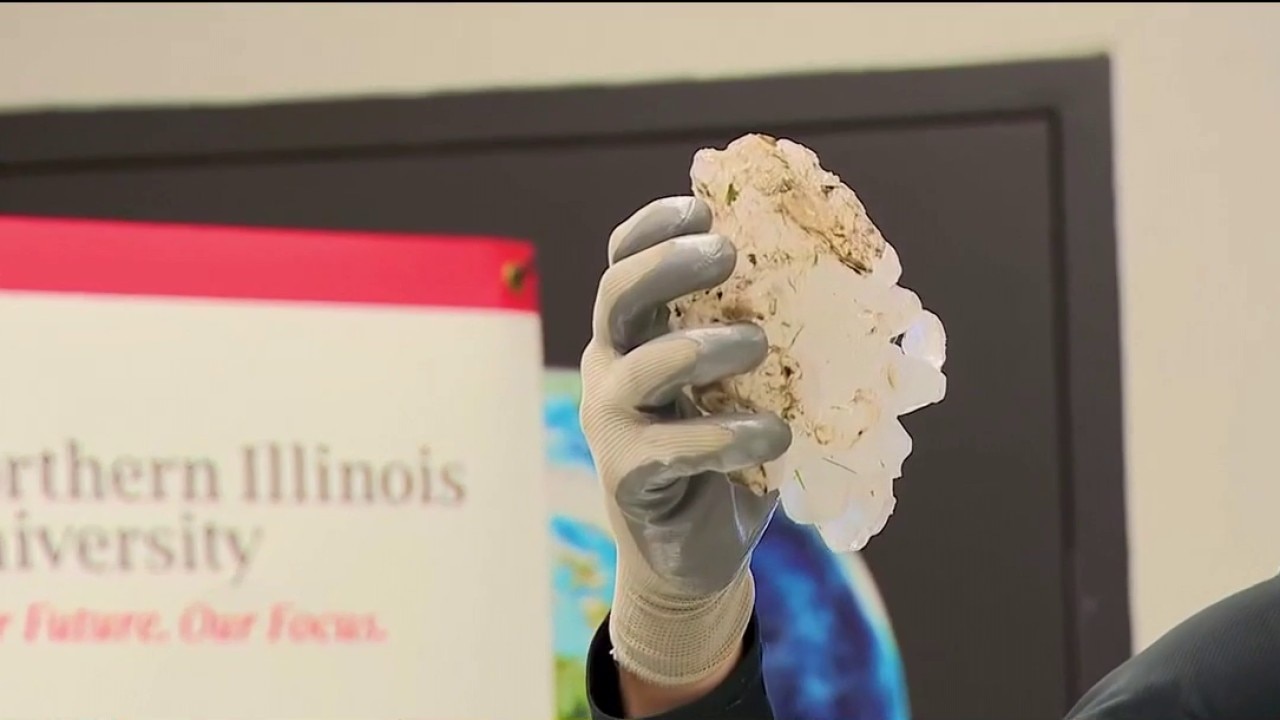 'Mini Nerf football': Hailstone produced during severe storms breaks Illinois record