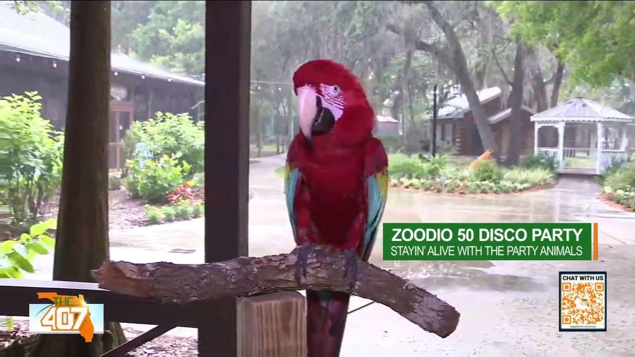 What to expect for Central Florida Zoo's 50th anniversary celebration
