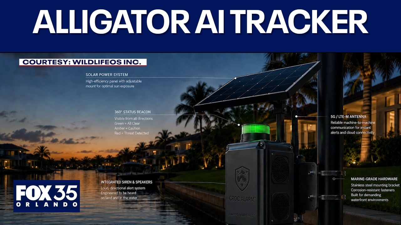 How can we detect alligators with AI?