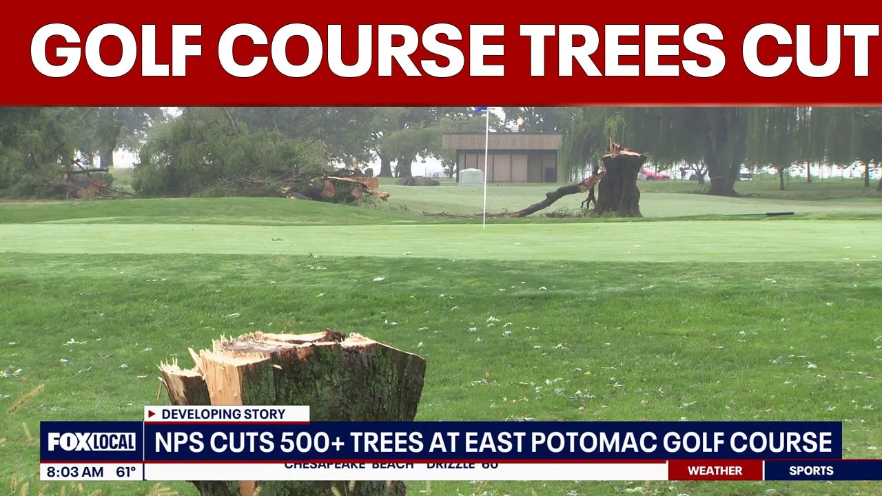 National Park Service cuts down 500 trees at East Potomac Golf Course