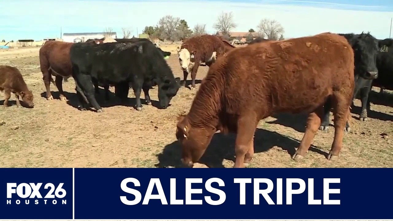 Houston rancher sees sales triple following President Trump's beef import announcement