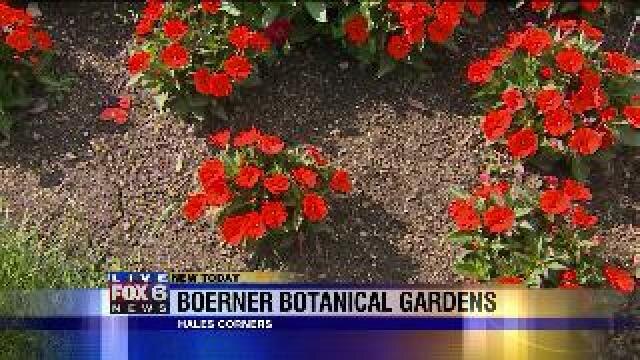 Laura checks out flowers at Boerner Botanical Gardens