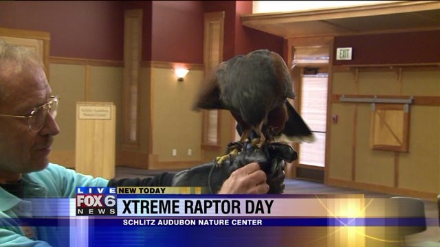 Laura watches at bird takes flight