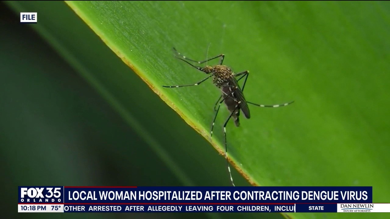 Lake County woman warns of severe dengue illness after mosquito bite