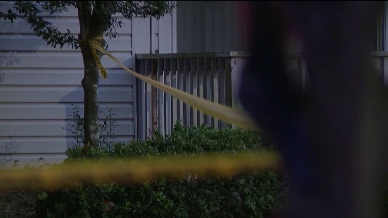 DeKalb County shooting claims two young brothers