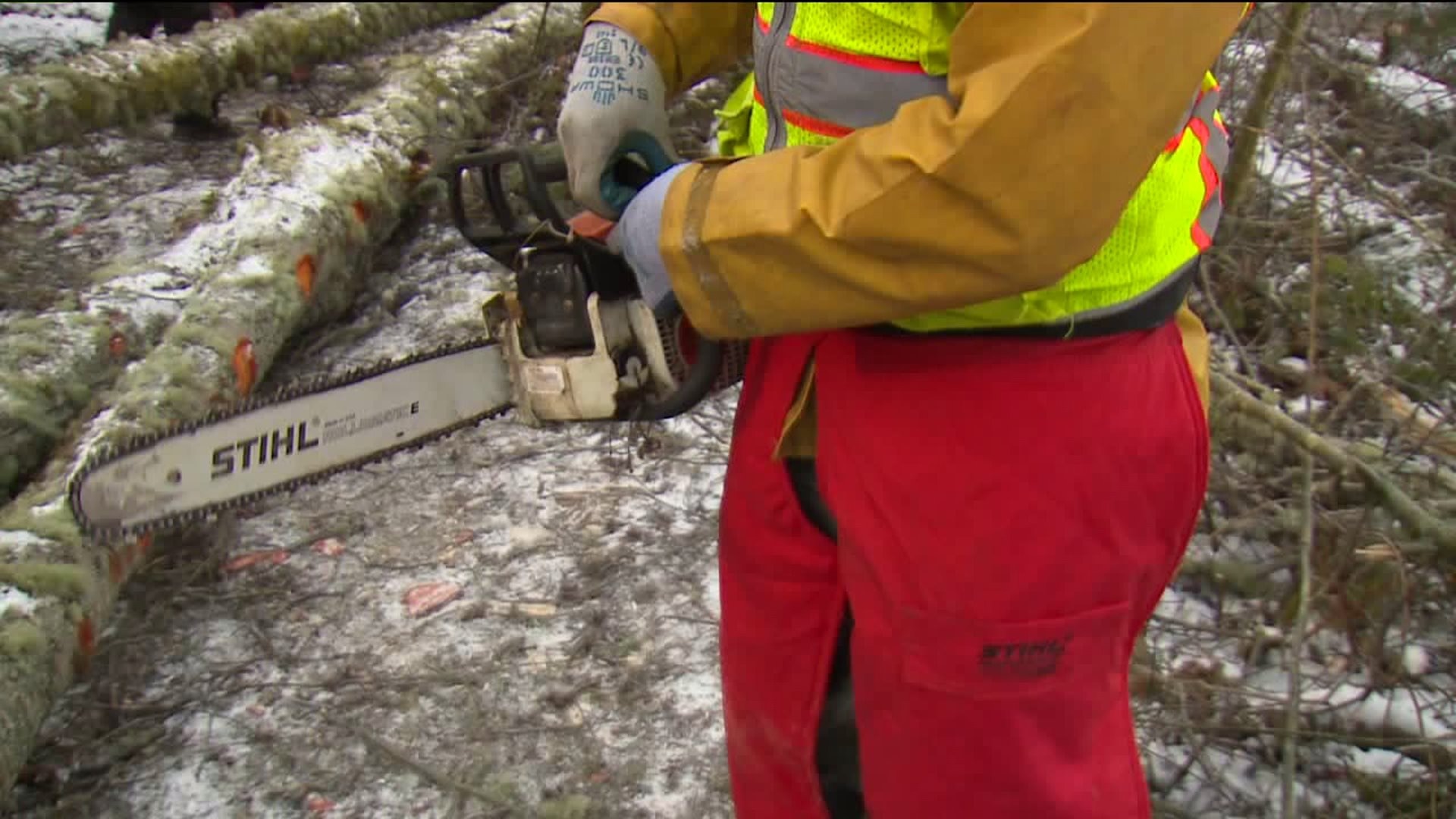 Winter safety for pets and parks