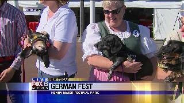 Justin checks out adorable dogs at German Fest