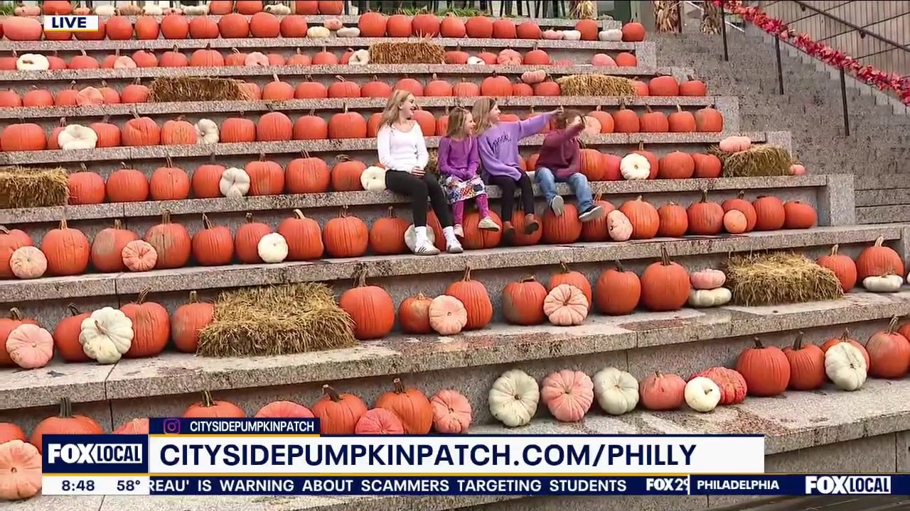 Cityside Pumpkin Patch