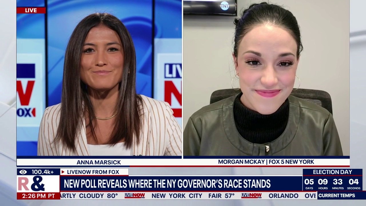 New polls reveals where the NY Governor's race stands