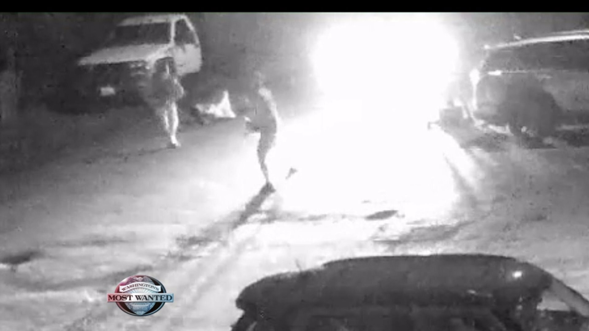 WANTED: Violent serial purse-snatching perps