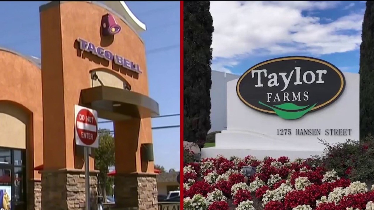 Chicago librarian files Illinois’ first Taylor Farms lawsuit over cyclospora illness