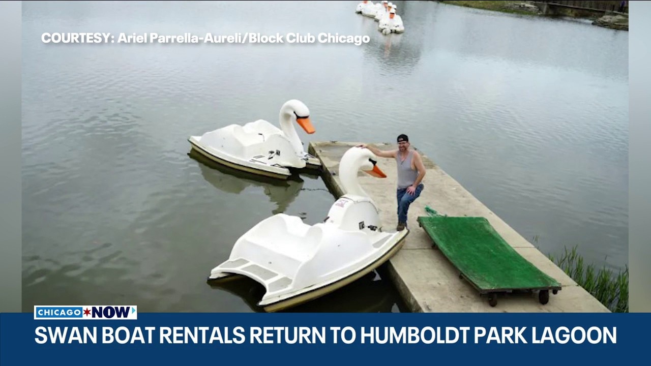Swan boat rentals returning to Humboldt Park lagoon this month | Block Club Chicago x ChicagoNOW
