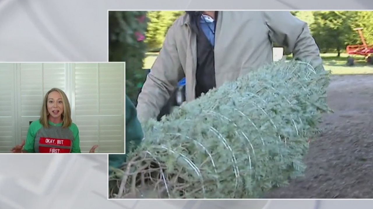 Is it too early to decorate for Christmas?