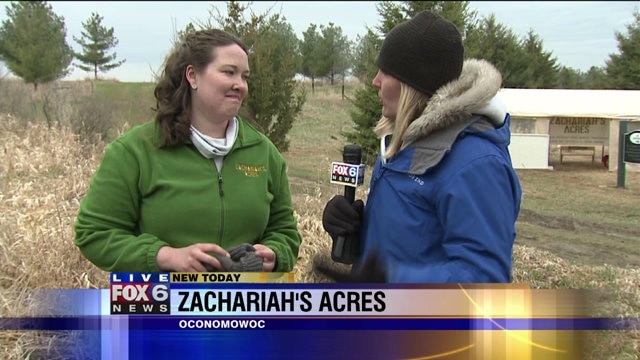 Laura checks out fun activities for everyone at Zachariah`s Acres