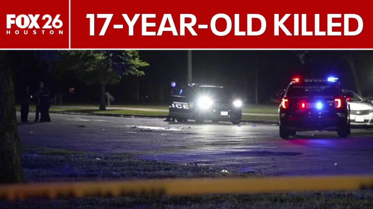 Teen killed in Houston park shooting