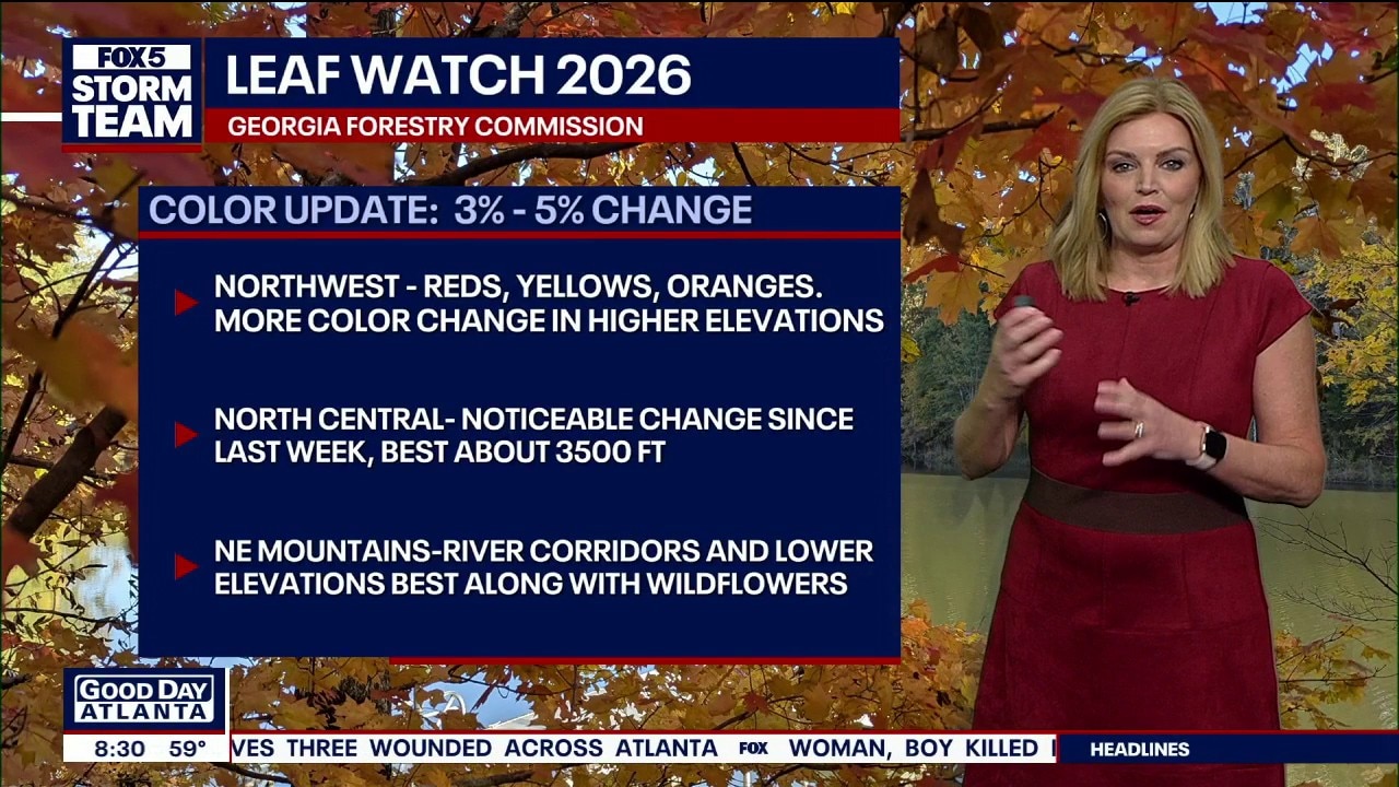 Leaf Watch 2026: Early fall color emerging in North Georgia