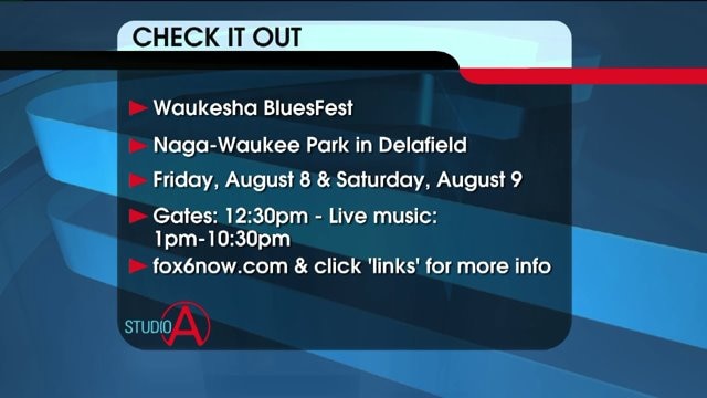 Waukesha BluesFest this weekend!