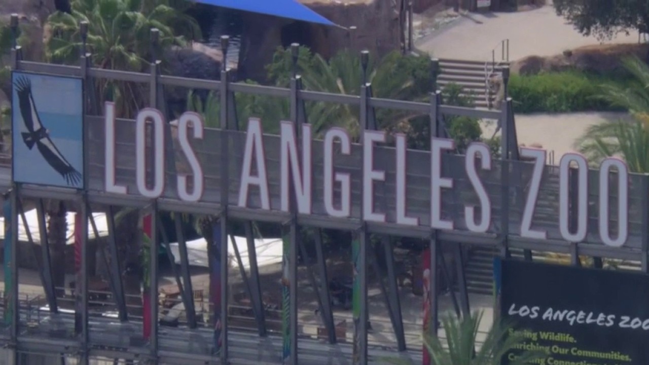 LA Zoo looks to raise ticket prices