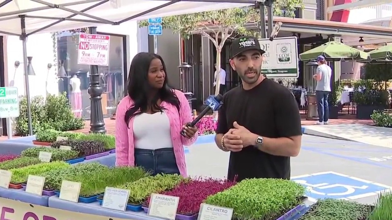 The Pacific Palisades Farmers Market returns 