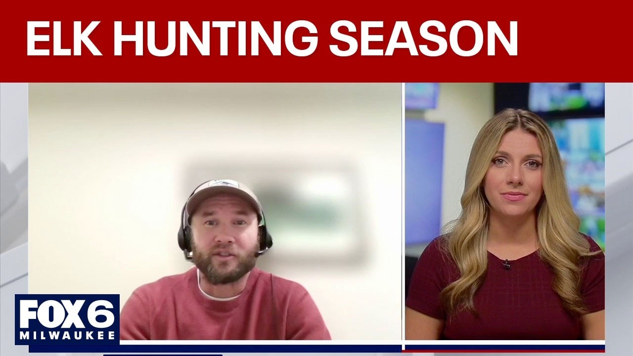 Elk hunting season underway; applications open